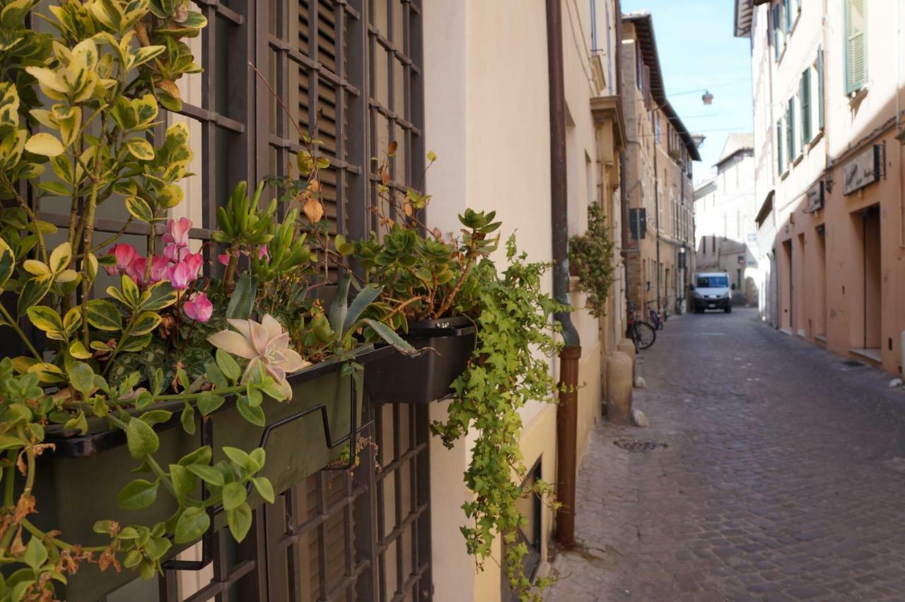 Bed and Breakfast Il Vicolo 48 Pésaro Exterior foto